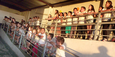 diadospaisN